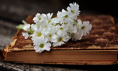 Die wichtigsten Daten von J bis R